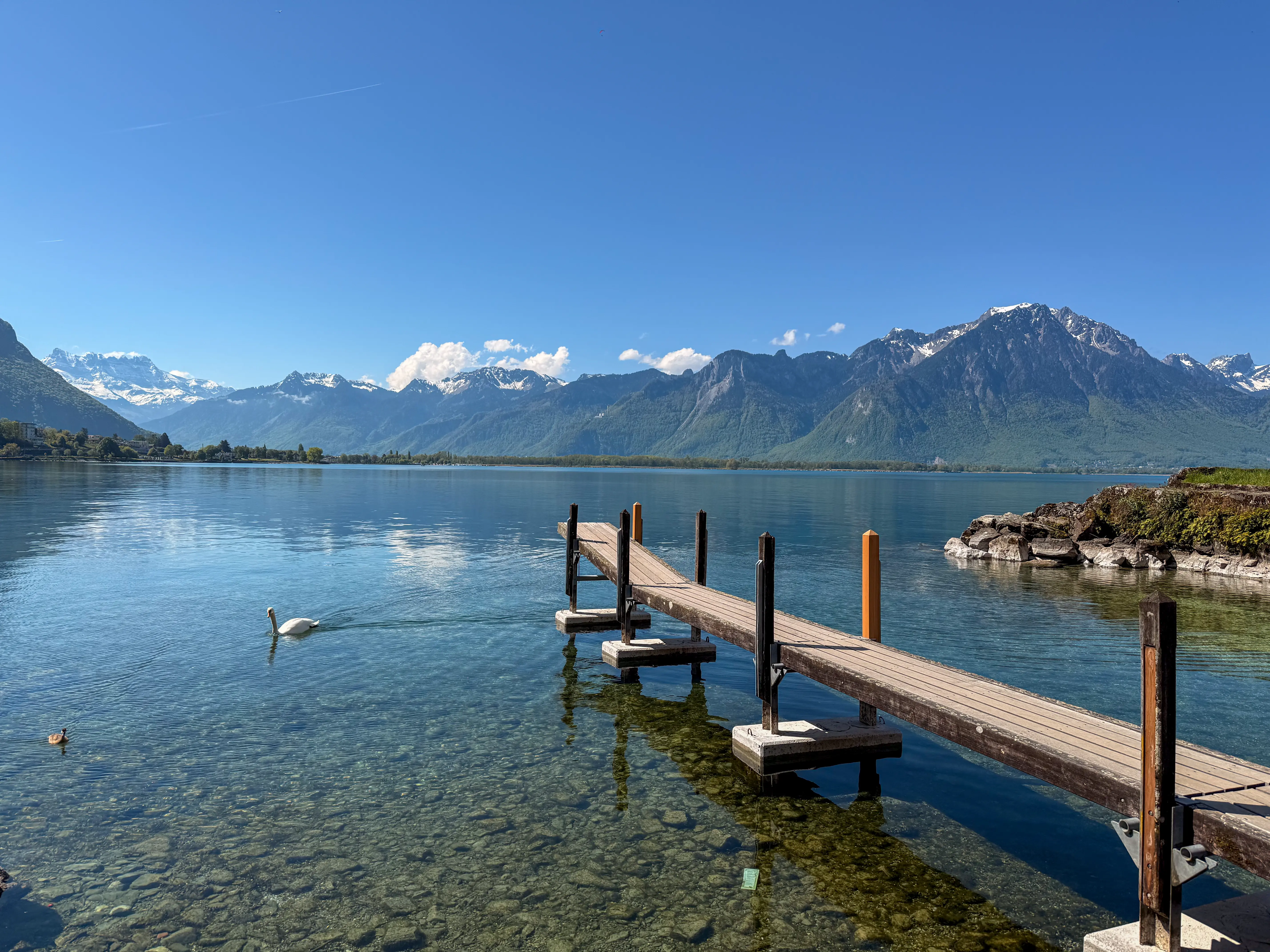 Desktop banner image of the blog