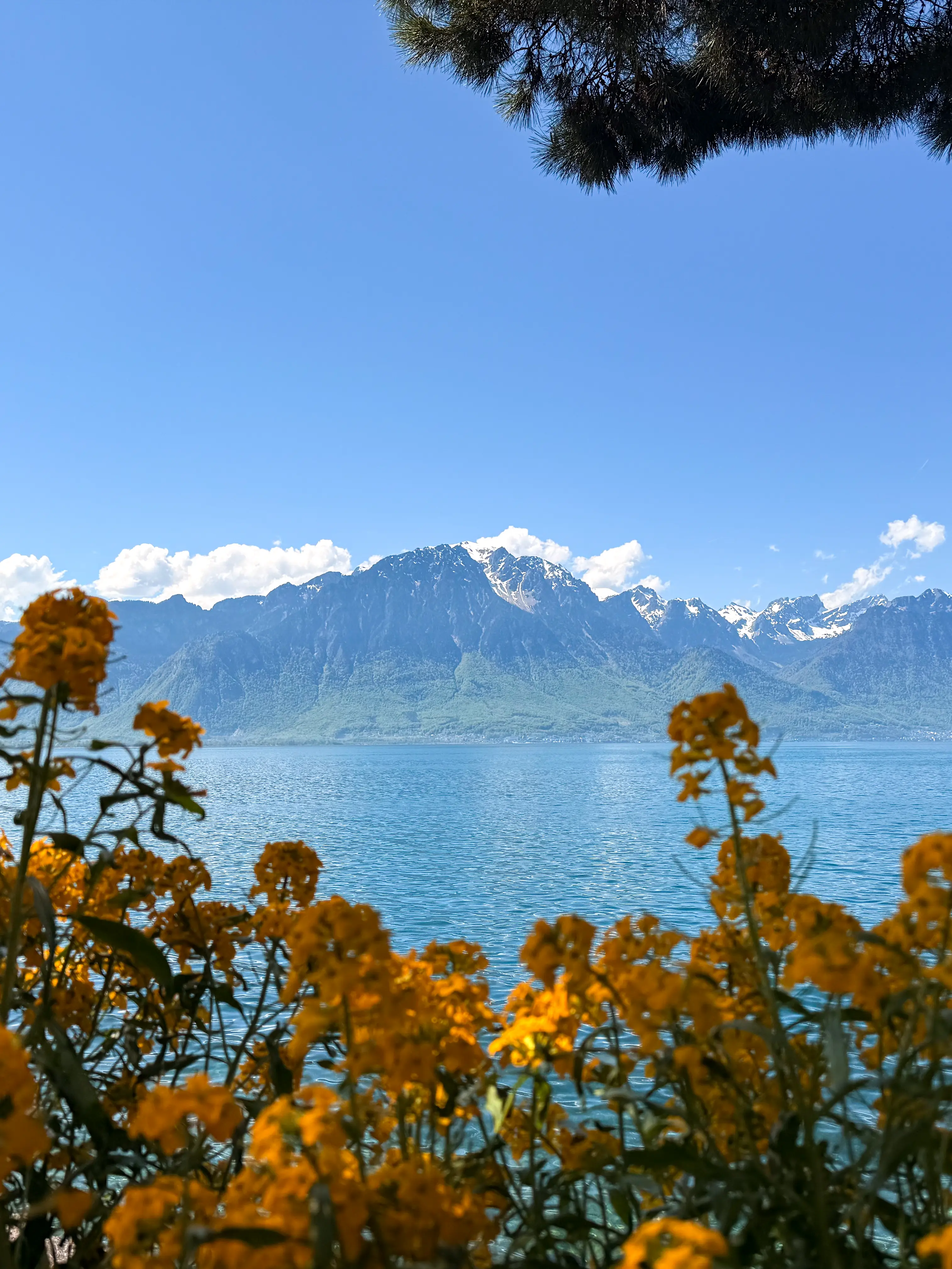 Mobile banner image of the blog